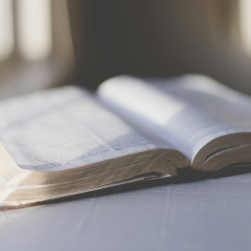 Precept And Promise